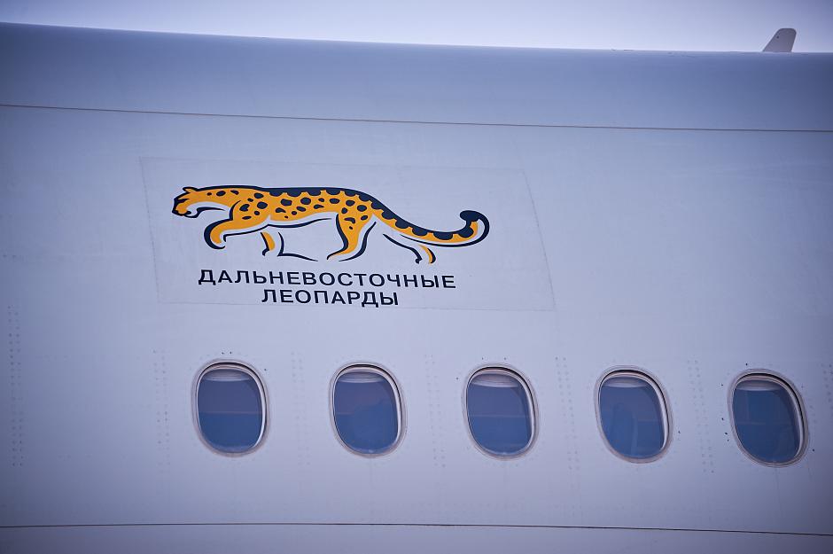 Автор: Сергей Маслюк